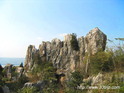 泽山