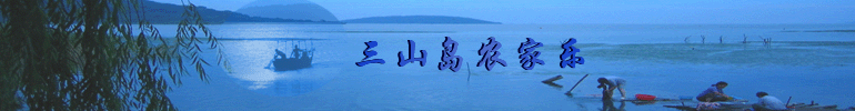 ũ